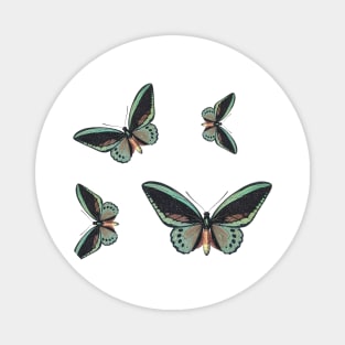 Colorful Butterfly , Cute Light Butterflies Gift Idea Magnet